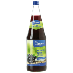 Stingel Johannisbeere schwarz