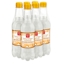 REWE Beste Wahl Spicy Ginger