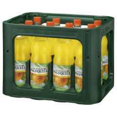 Thüringer Waldquell Orangen-Limonade