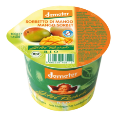 Gildo Rachelli Bio Mango Sorbet