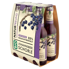 Naturfreund Bio Johannisbeer Schorle