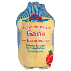 Junge Dithmarscher Gans