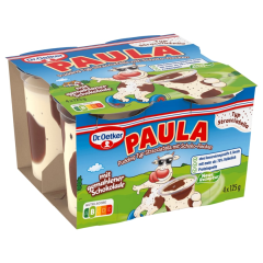 Dr. Oetker Paula Typ Stracciatella mit Schoko